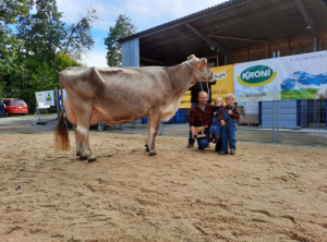 champion biver beverly